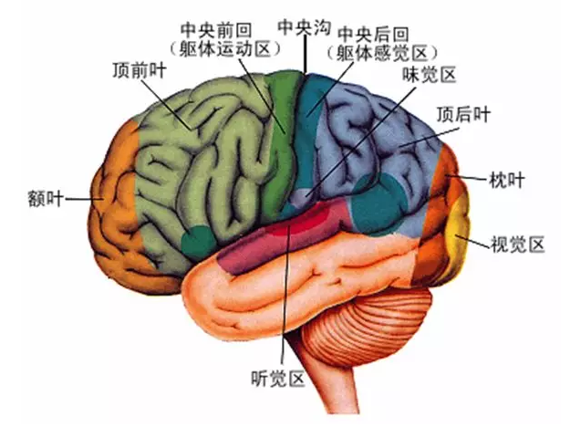 經(jīng)顱磁刺激治療你知道多少？